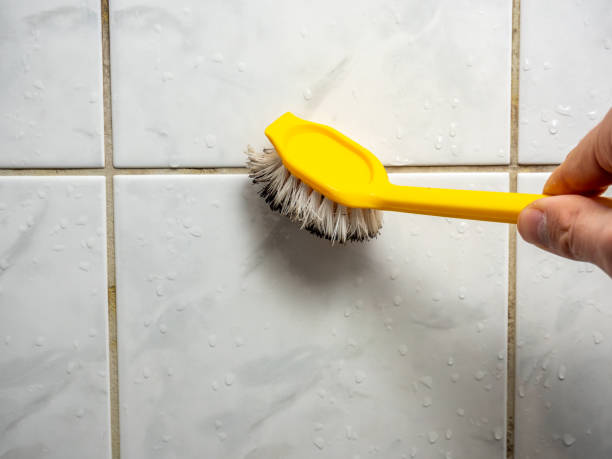 Best Toxic Mold Removal  in Deep River Center, CT