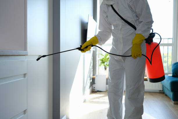 Best Crawl Space Mold Removal  in Deep River Center, CT